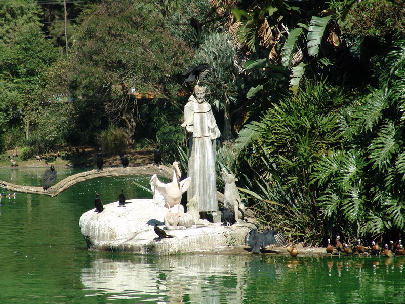 Esttua de santo que existe no lago, o pssaro branco ao lado da esttua  de verdade...